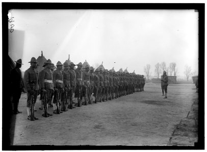 ARMY, U.S. NEGRO TROOPS LCCN2016868665