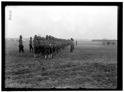 ARMY, U.S. NEGRO TROOPS LCCN2016868667