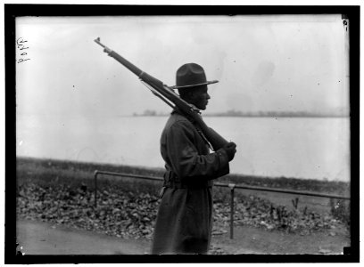 ARMY, U.S. NEGRO TROOPS LCCN2016868669