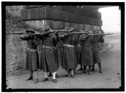 ARMY, U.S. NEGRO TROOPS LCCN2016868677