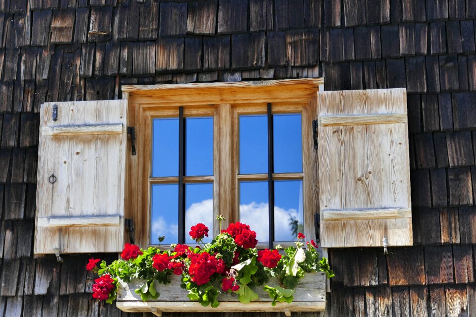 Woods rustic architecture