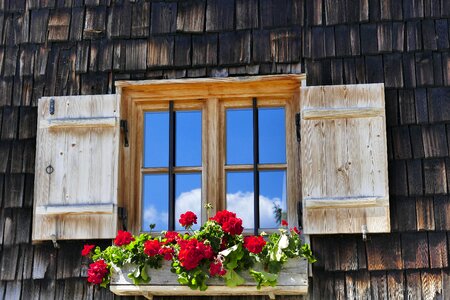 Woods rustic architecture photo