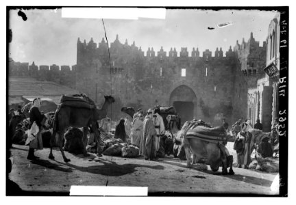 Around the city wall (Jerusalem). Damascus Gate. Bedouins unloading wheat-ladened camels LOC matpc.02520