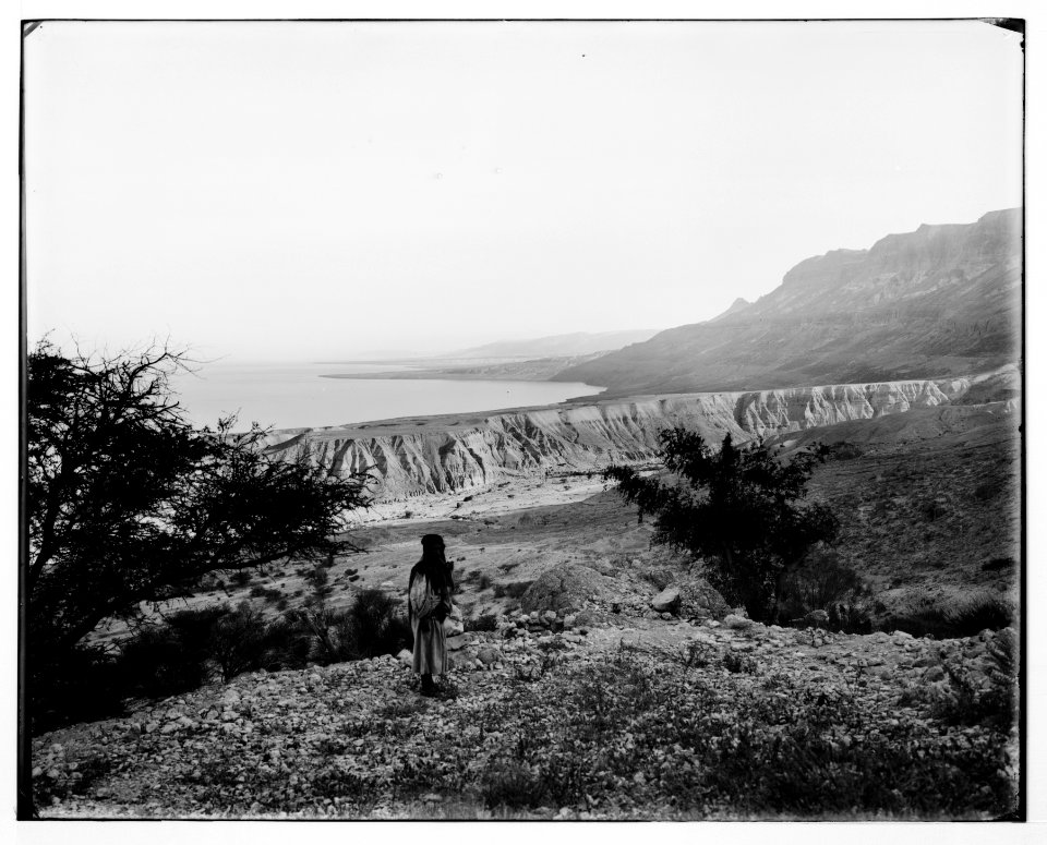 Around the Dead Sea (Bahr Lut). 'Ain Jiddy looking south LOC matpc.07358