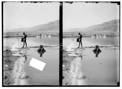 Around the Dead Sea. Collecting salt from lagoon LOC matpc.01748