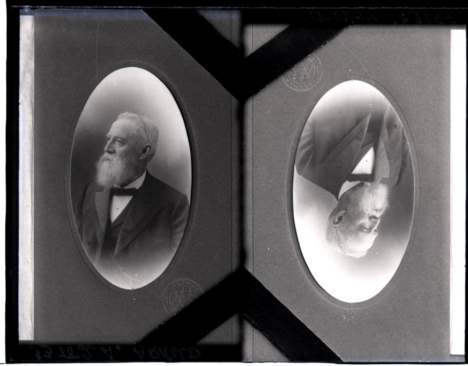 Arnell, copy of photograph, 1 Sep 1912 (16394581080)