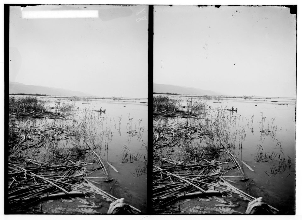 Around the Dead Sea. Estuary of the Jordan LOC matpc.01820