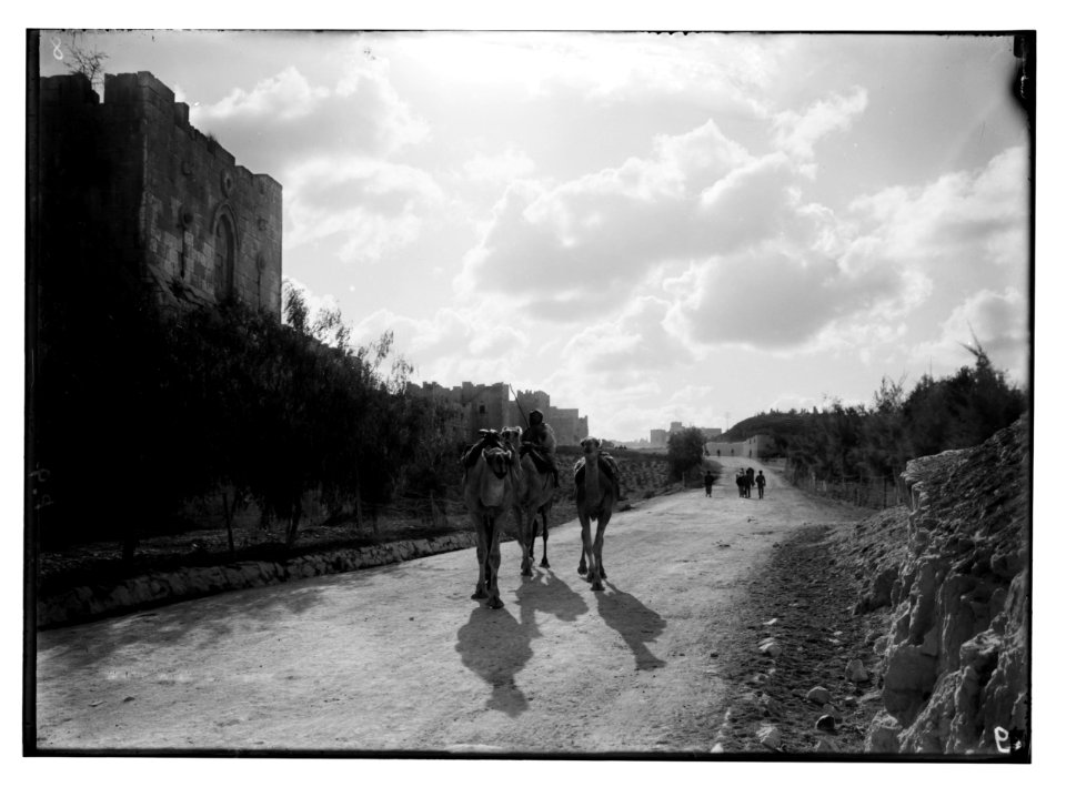 Around the city wall (Jerusalem). Gordon's Calvary & the north wall. Bedouin camels in foreground LOC matpc.02521