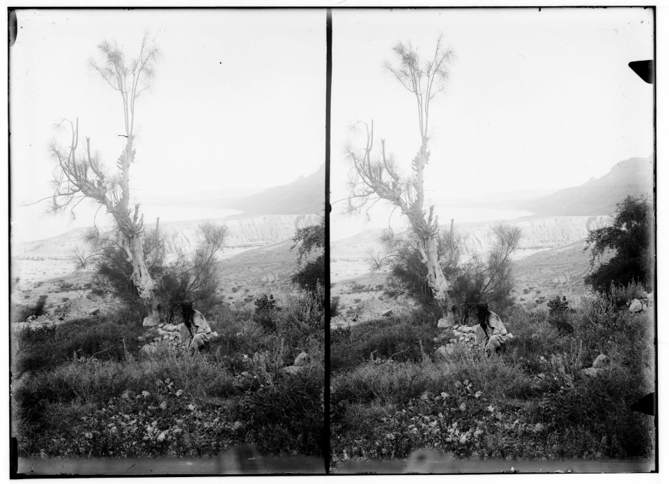 Around the Dead Sea. Looking south from 'Ain Jiddy LOC matpc.01755