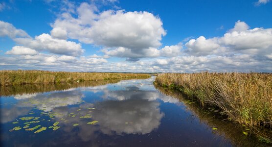 Unesco landscape reed