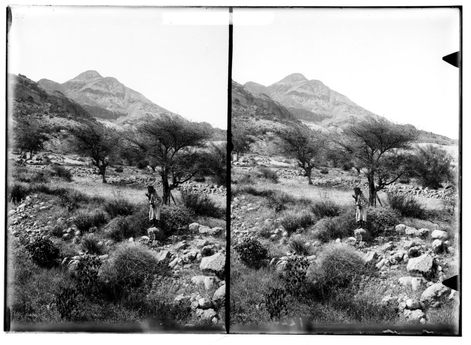 Around the Dead Sea. Scene at 'Ain Jiddy LOC matpc.01753
