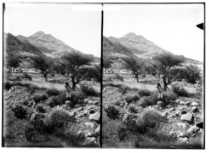 Around the Dead Sea. Scene at 'Ain Jiddy LOC matpc.01753