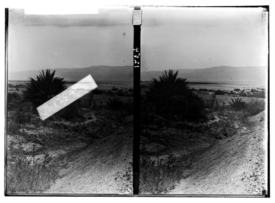 Around the Dead Sea. Scene near south end of Dead Sea at 'Ain El-Beida LOC matpc.01783