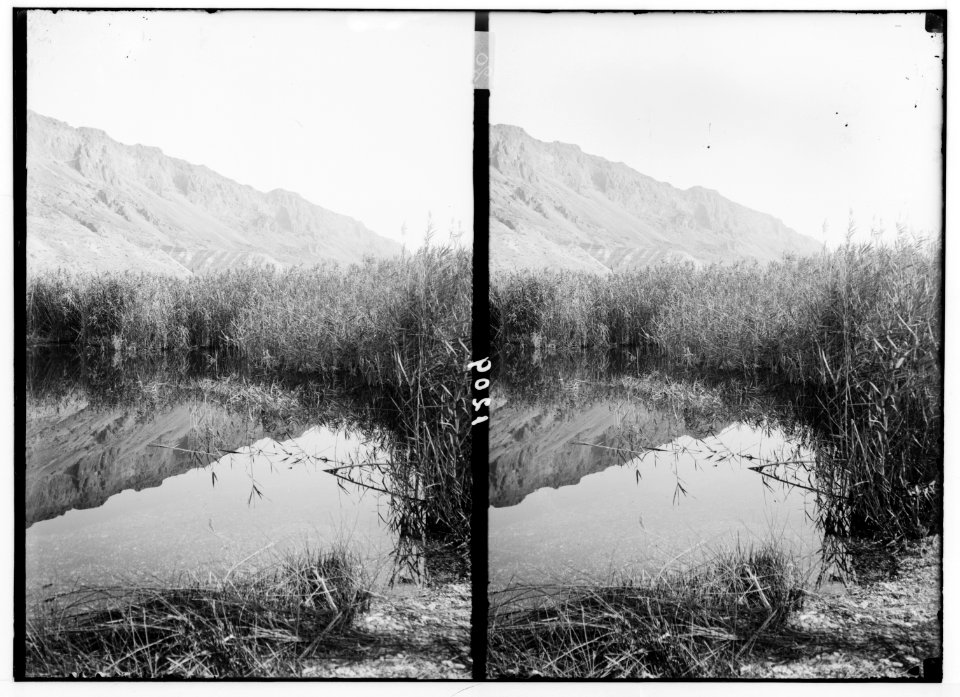 Around the Dead Sea. Spring 'Ain Feshkha LOC matpc.01743