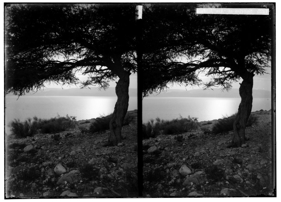 Around the Dead Sea. Sunrise at 'Ain Jiddy LOC matpc.01757