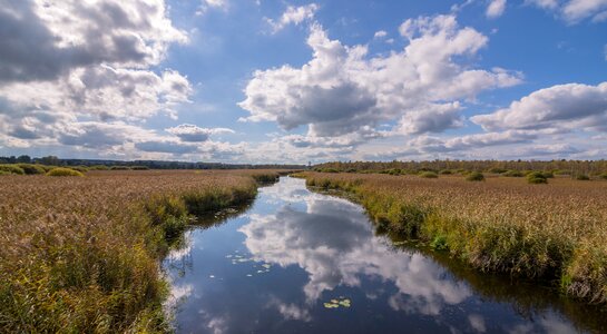 Unesco landscape reed