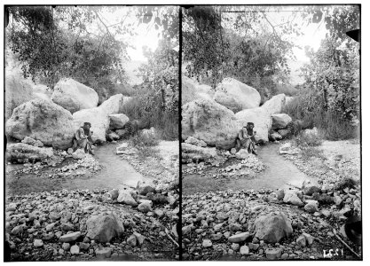 Around the Dead Sea. Upper spring at 'Ain Jiddy LOC matpc.01754