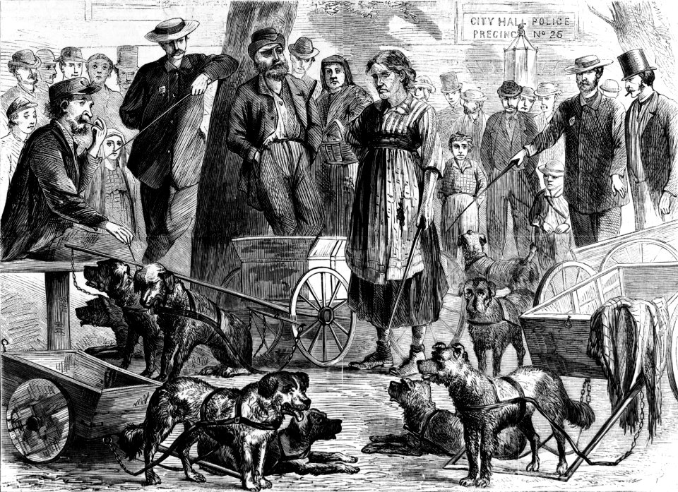 Arrested rag-pickers in City Hall Park, New York. C. G. Bush