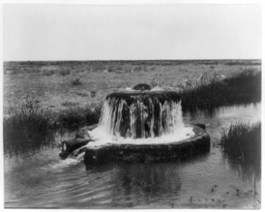 Artesian well in the desert. Kern County, Cal. LCCN2016653508