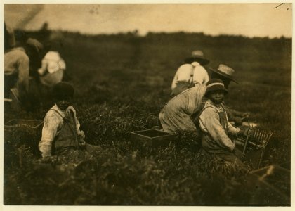 Arthur Fernande. Said 8 years old. Picking cranberries by hand, and brother Charlie said he was 9 picking with a scoop. Said they worked from 9 till 5. LOC nclc.00114