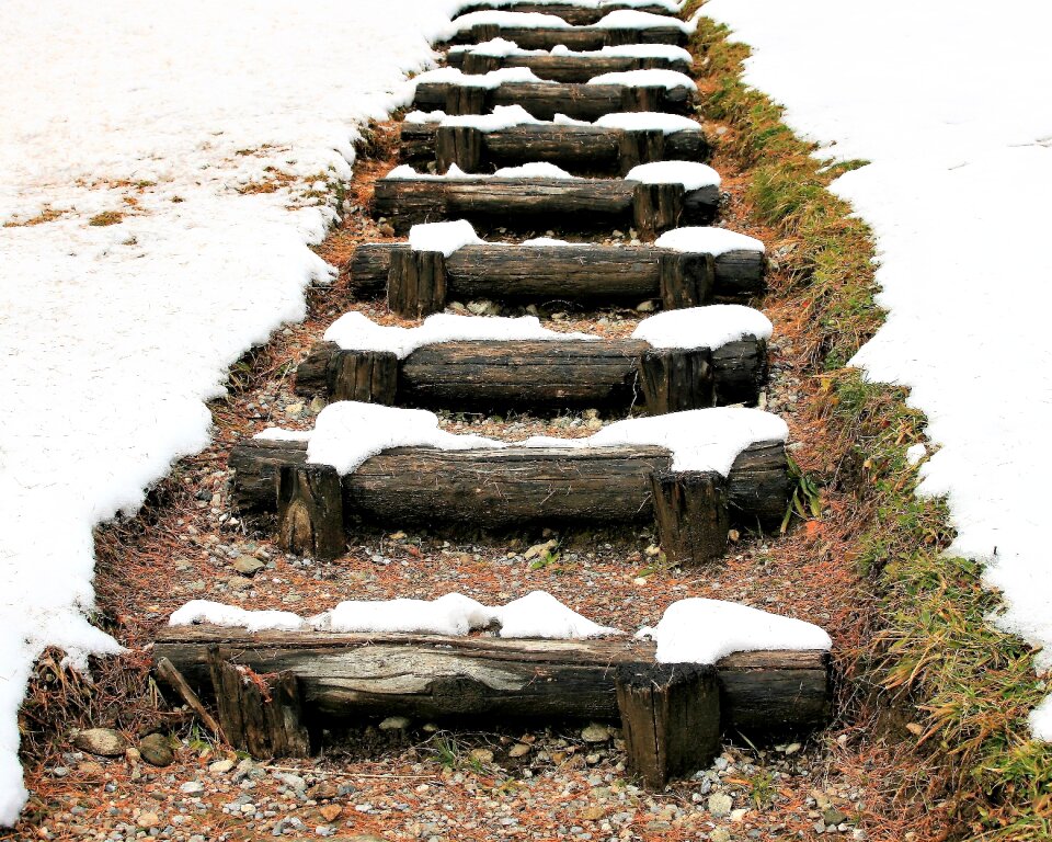 Elevation grass winter