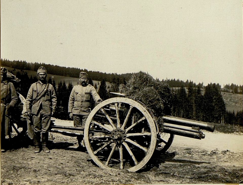 Artillerie auf Lisa Gora. (BildID 15522764)