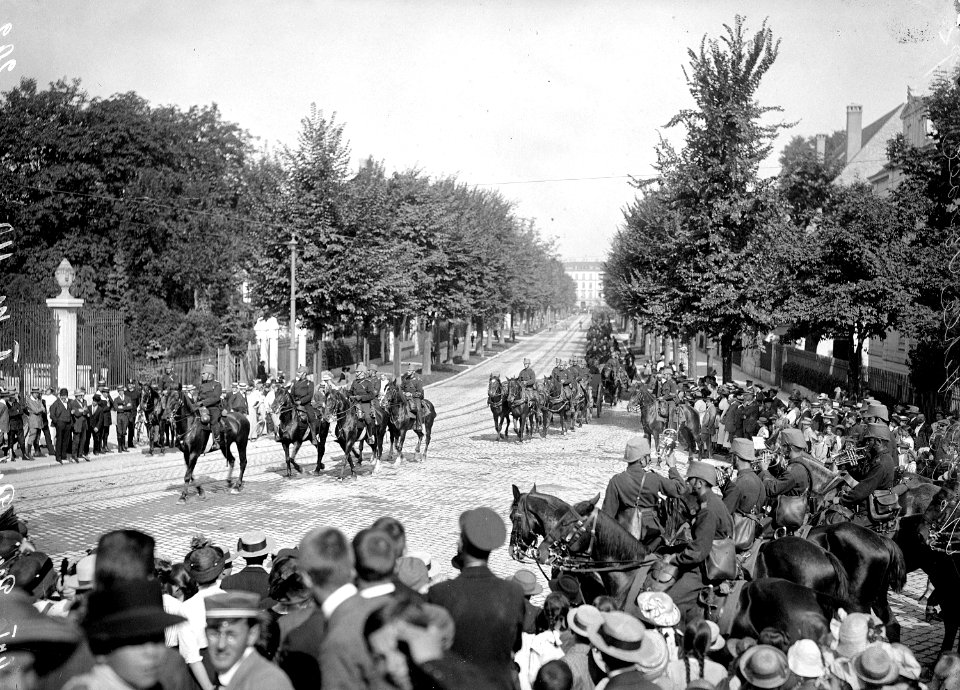 Artillerie beim Defilieren - CH-BAR - 3237363