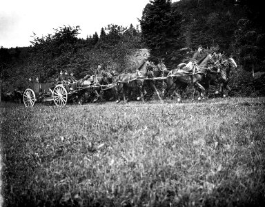 Artillerie beim Stellungsbezug - CH-BAR - 3236433