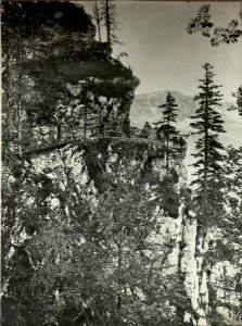 Artillerie Beobachter am mittleren VRSIC. VI. Kompagnie. Aufgenommen am 28. Juli 1916. (BildID 15478766)