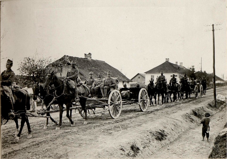 Artillerie auf dem Wege zur Stellung (BildID 15528898)