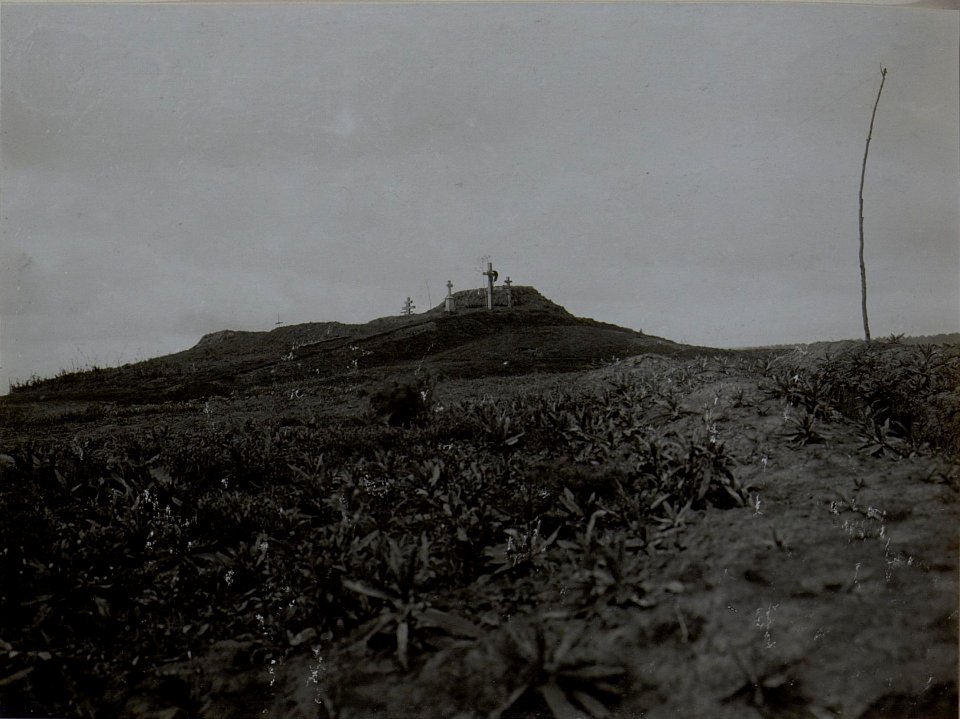 Artillerie Beobachtungsstand am Grabhügel in PYSZKOWCE. (BildID 15450884)