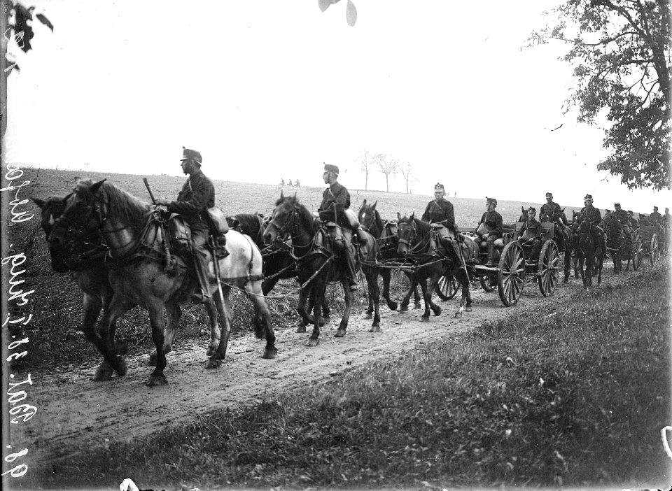Artillerie bei der Abfahrt - CH-BAR - 3236396