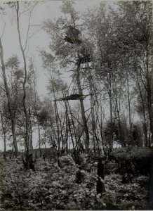 Artillerie Beobachtungsstand in Medwedowce. (BildID 15450736)