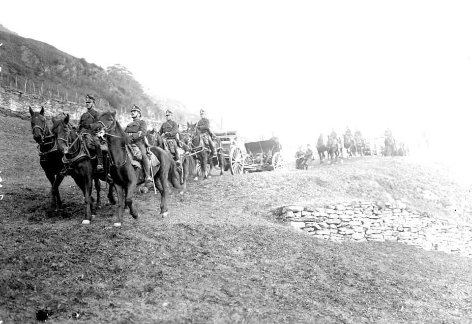 Artillerie beim Geländefahren - CH-BAR - 3239286