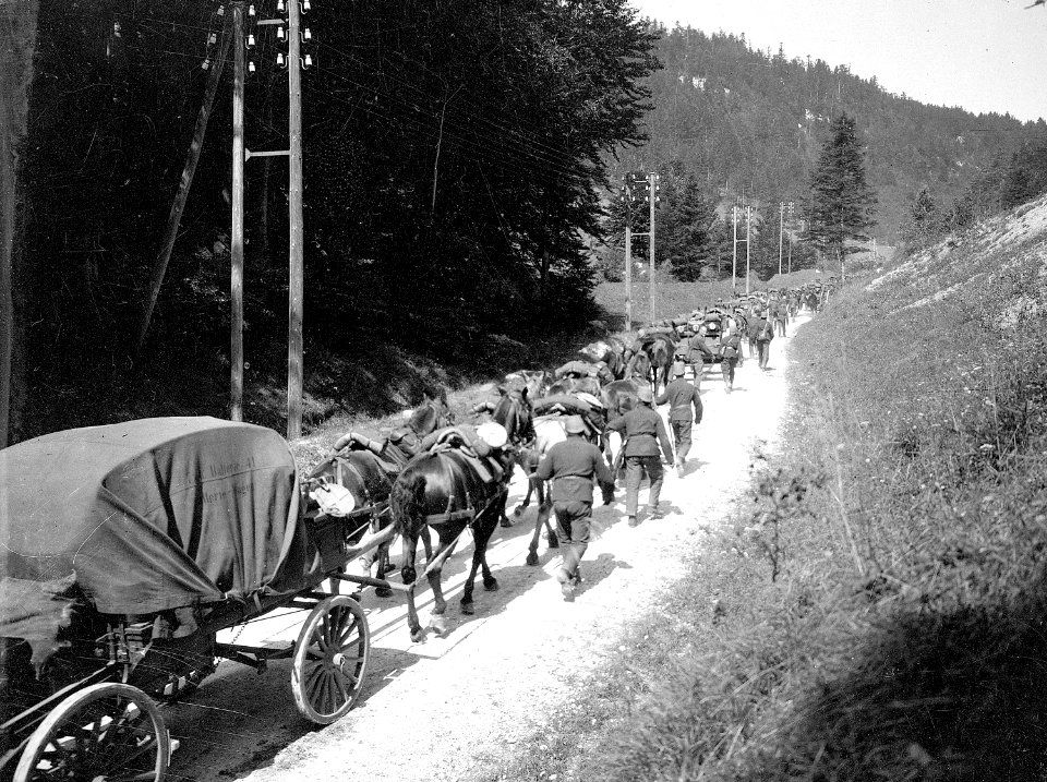 Artillerie auf dem Marsch im Gebirge - CH-BAR - 3236452