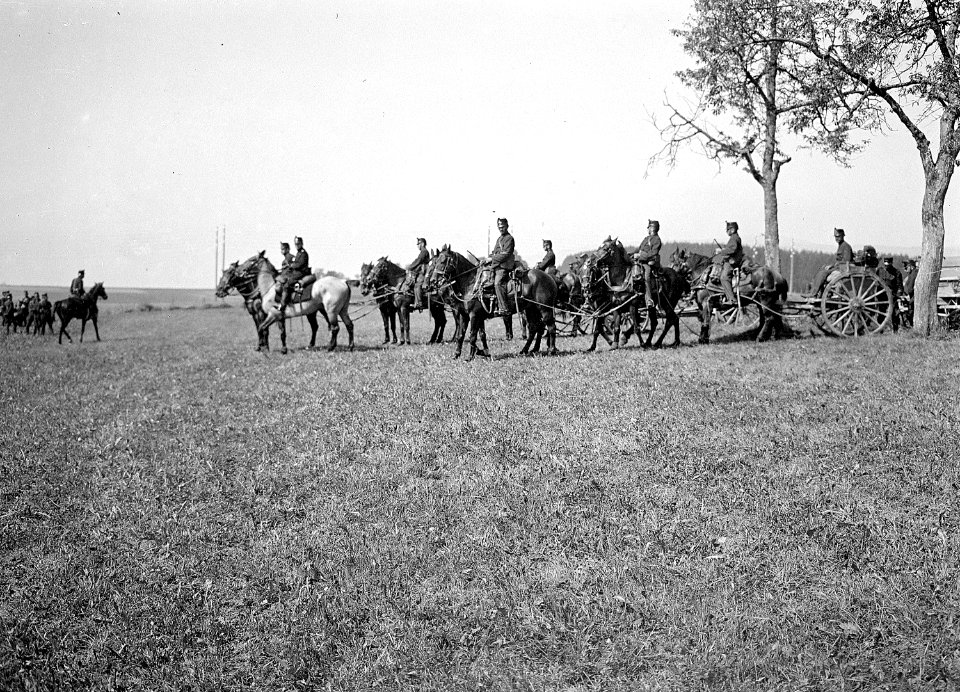 Artillerie bei der Abfahrt - CH-BAR - 3236408