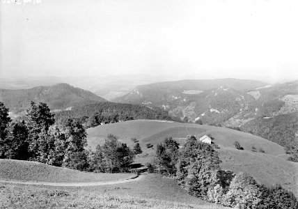 Artillerie-Batteriestellung Ober Bölchen - CH-BAR - 3237662