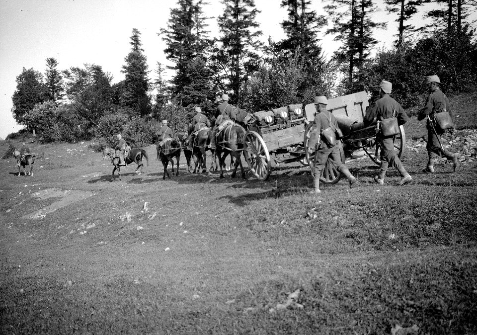 Artillerie in den Bergen - CH-BAR - 3236537