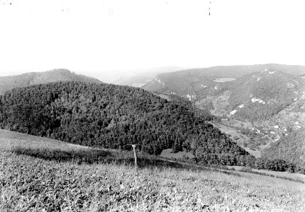 Artillerie-Batteriestellung Nieder Bölchen - CH-BAR - 3237663