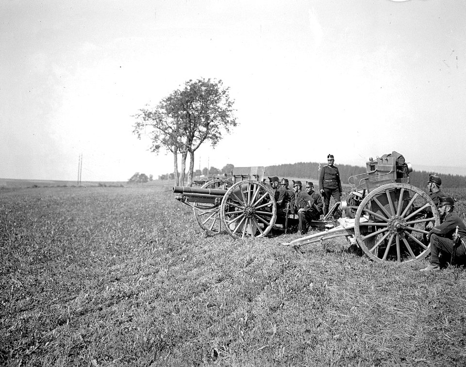 Artillerie in Feuerstellung bei Zihlwil - CH-BAR - 3236407