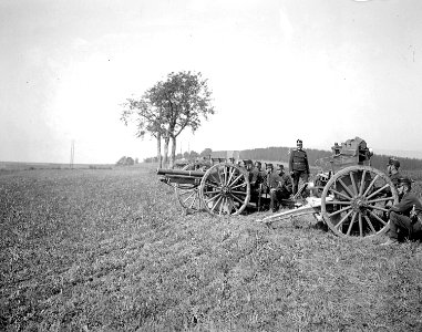 Artillerie in Feuerstellung bei Zihlwil - CH-BAR - 3236407
