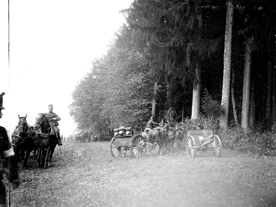 Artillerie Wald am Fröhlisberg - CH-BAR - 3236402