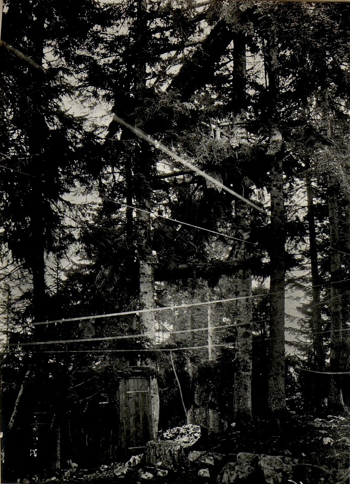 Artilleriebeobachter Hochstand, Cost alta. Aufgenommen im Mai 1916. (BildID 15535729)