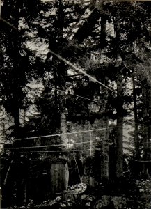Artilleriebeobachter Hochstand, Cost alta. Aufgenommen im Mai 1916. (BildID 15535729)