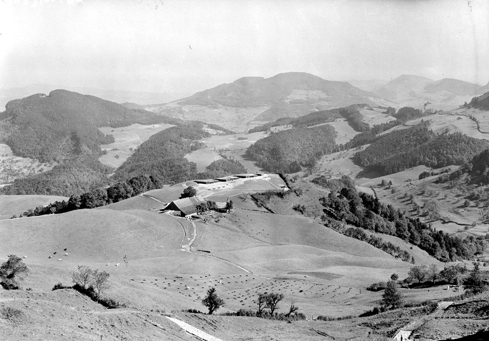 Artillerie-Batteriestellung Ober Bölchen - CH-BAR - 3237661