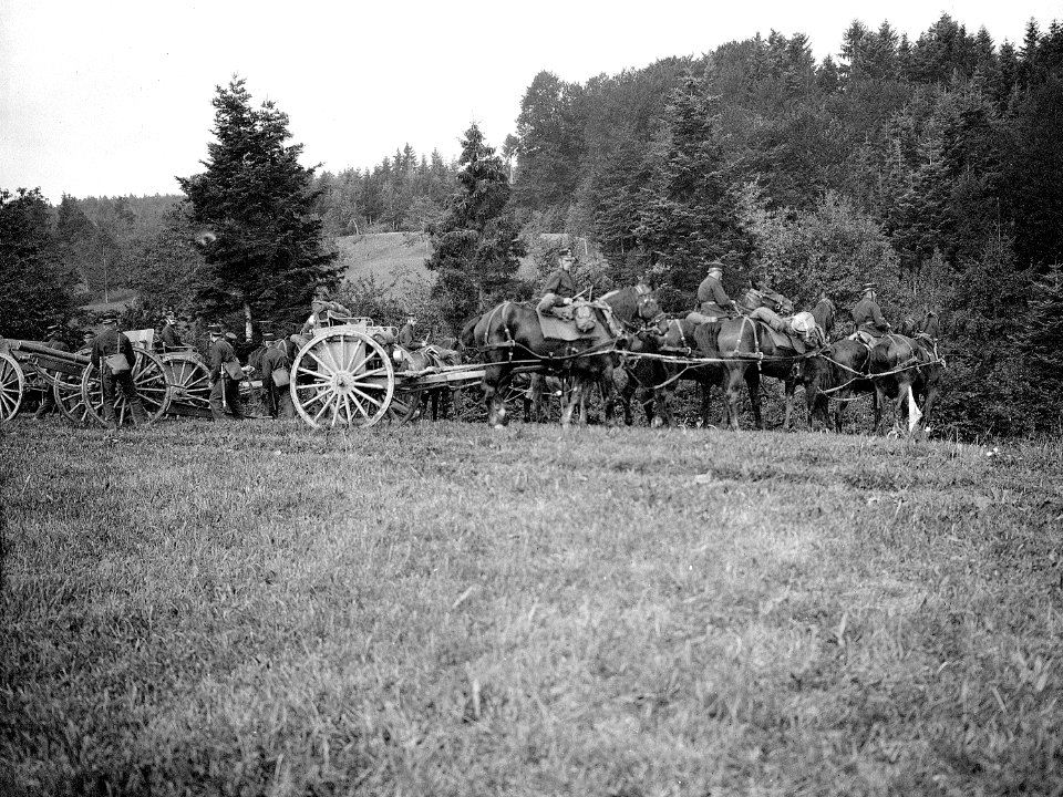 Artillerie beim Stellungsbezug - CH-BAR - 3236435
