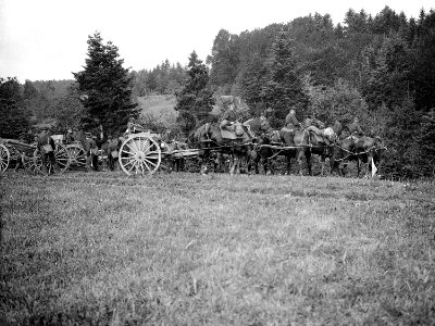 Artillerie beim Stellungsbezug - CH-BAR - 3236435