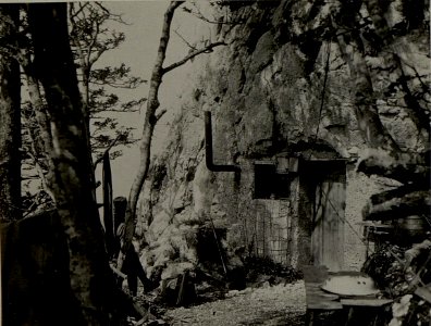 Artillerie Beobachter auf Kote 1313 am ROMBON. Aufgenommen am 12. Juli 1916. (BildID 15478563)