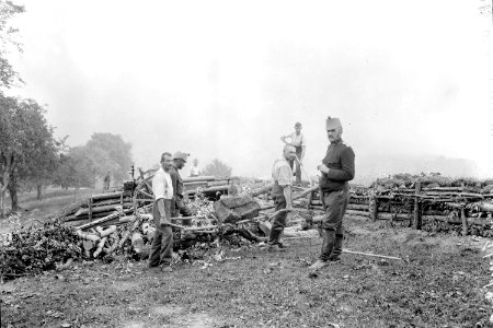 Artillerie in Feuerstellung - CH-BAR - 3237436