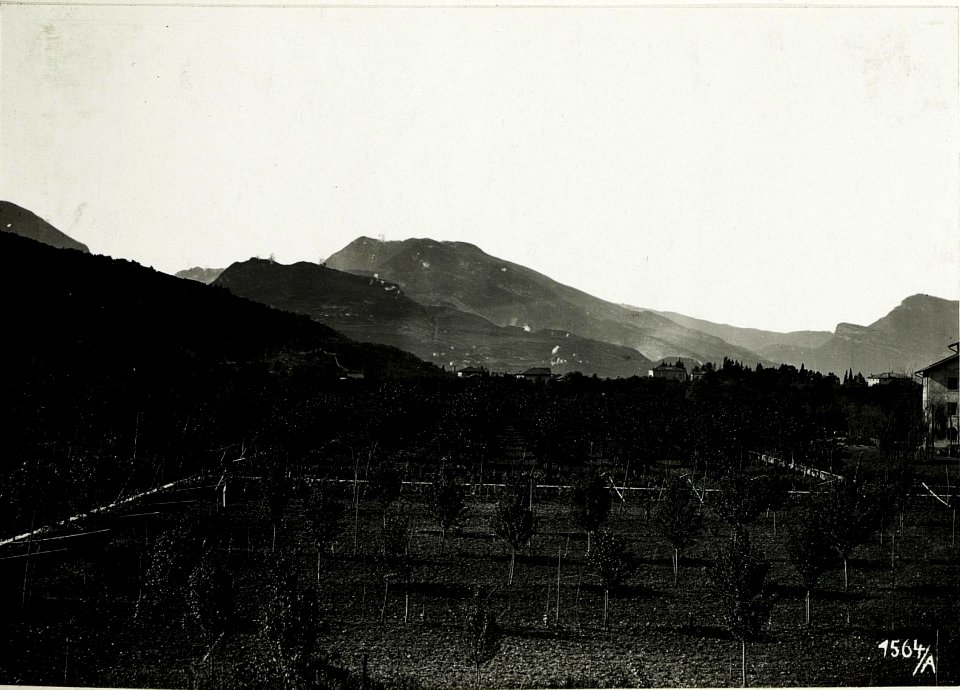Artillerievorbereitung am 15.5. gegen die Stellung der Italiener auf Nordhang. Aufgenommen vom Westhang des Monte Chello - Grottole. (BildID 15587461)